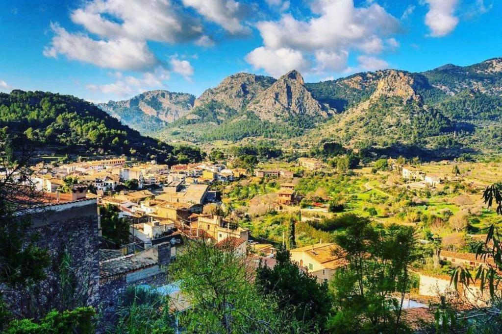 Barrio de Pòrtol en Mallorca: Guía de la Zona de Prestigio