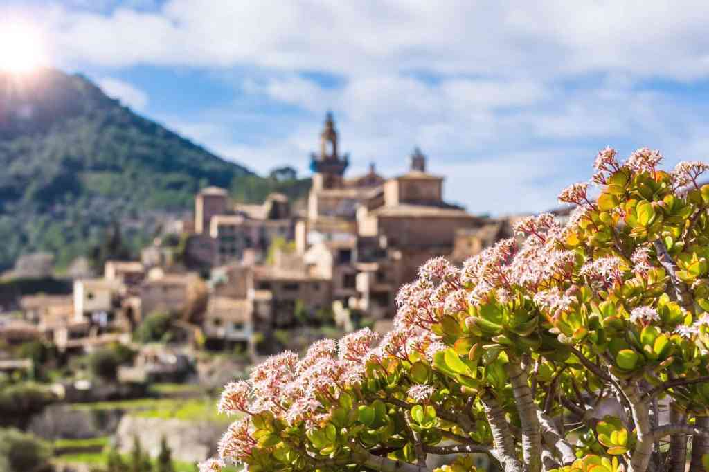 Mayo en Mallorca: Planifica tu visita a Mallorca en mayo con nuestra completa guía