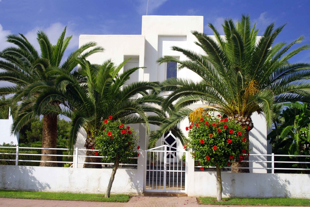 Casa con palmeras e hibiscos en Mallorca