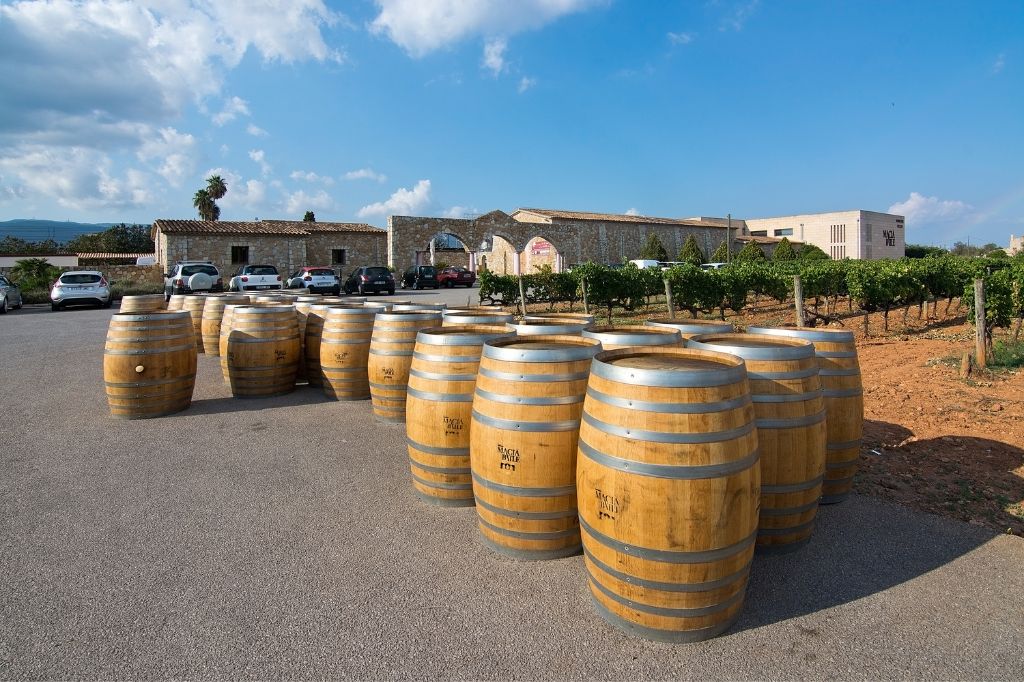 Barriles de vino en la plaza frente a una de las muchas bodegas de Binissalem