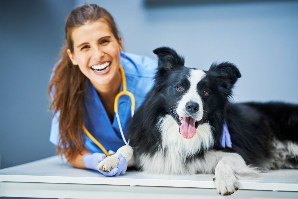 Veterinaria chica examinando un perro