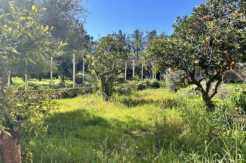 Casa con gran jardín para reformar en Manacor